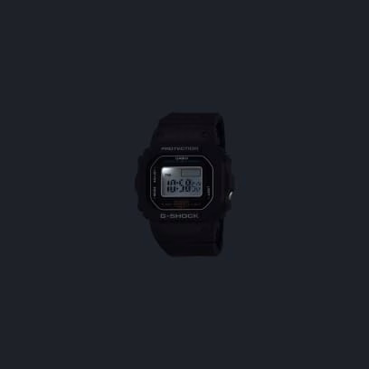 DWN-5600-1