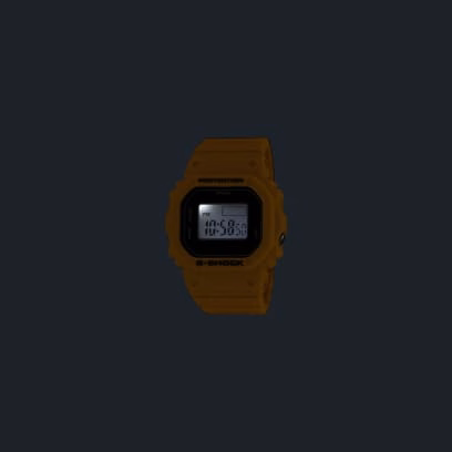 DWN-5600-9