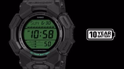 GD010BEG-1