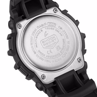 GW2310U-1